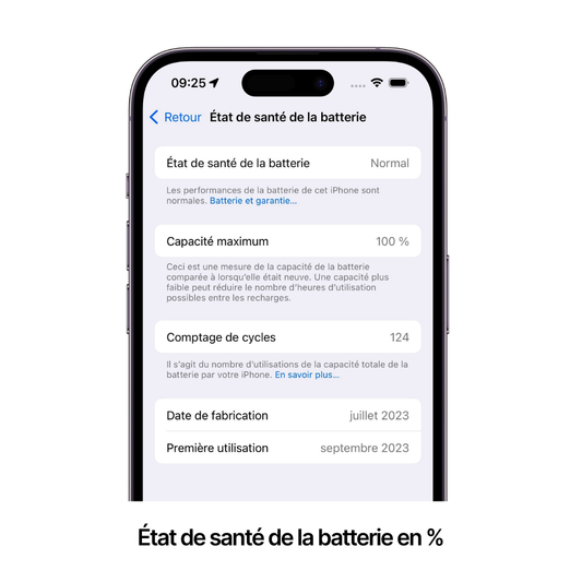 Batterie Haute Capacité